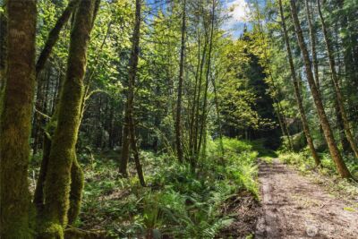 27525 W Lake Riley Road , Arlington, WA 98223 - Photo 34