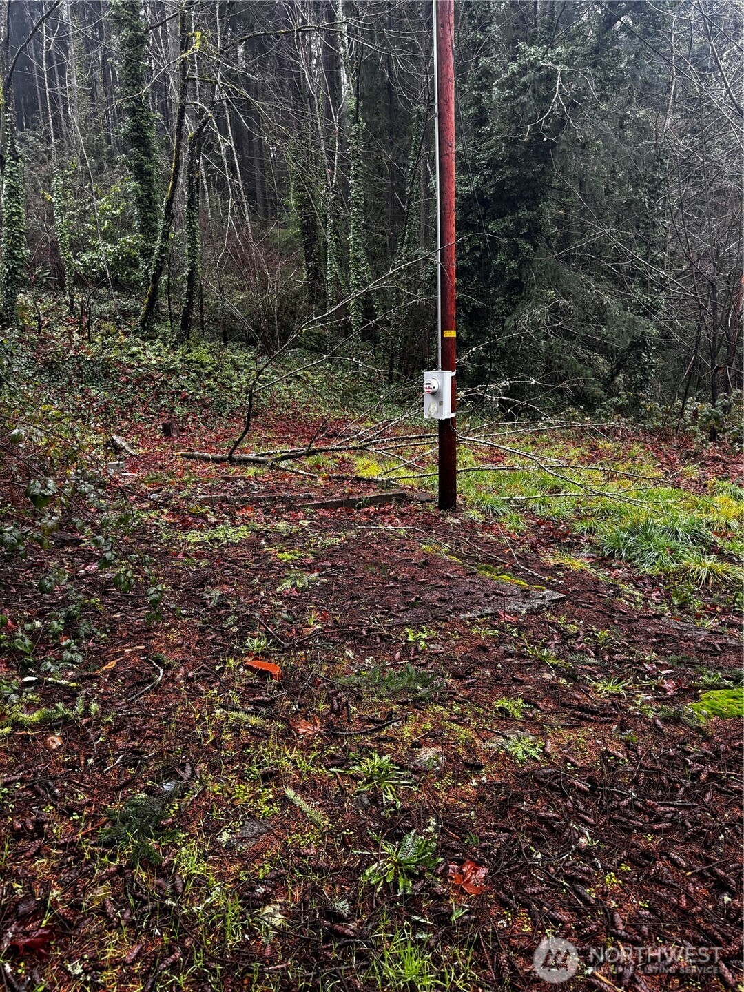 420 Henry Street , Shelton, WA 98584