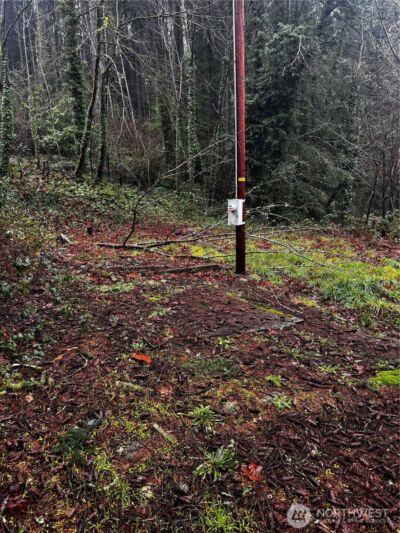 420 Henry Street , Shelton, WA 98584 - Photo 9