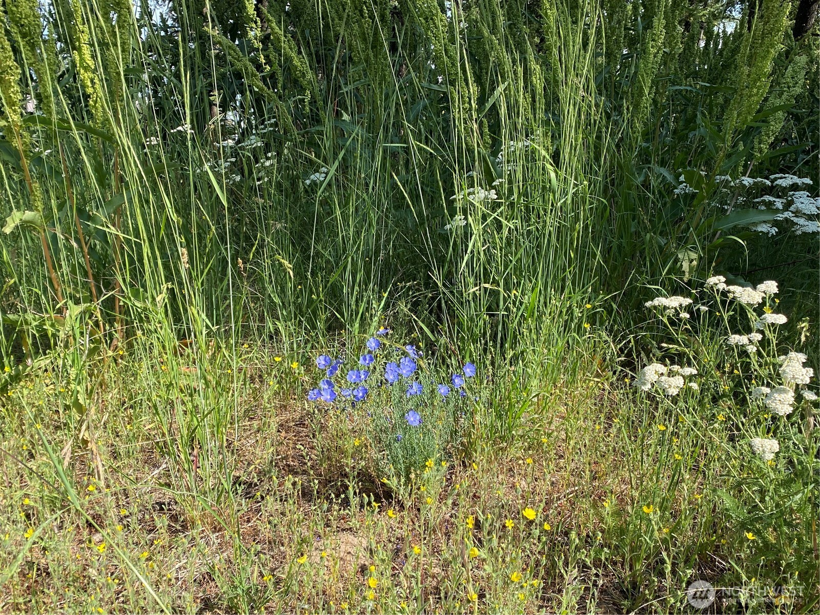 0 Big Springs Ranch Road , Malaga, WA 98828