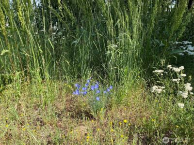 0 Big Springs Ranch Road , Malaga, WA 98828 - Photo 19