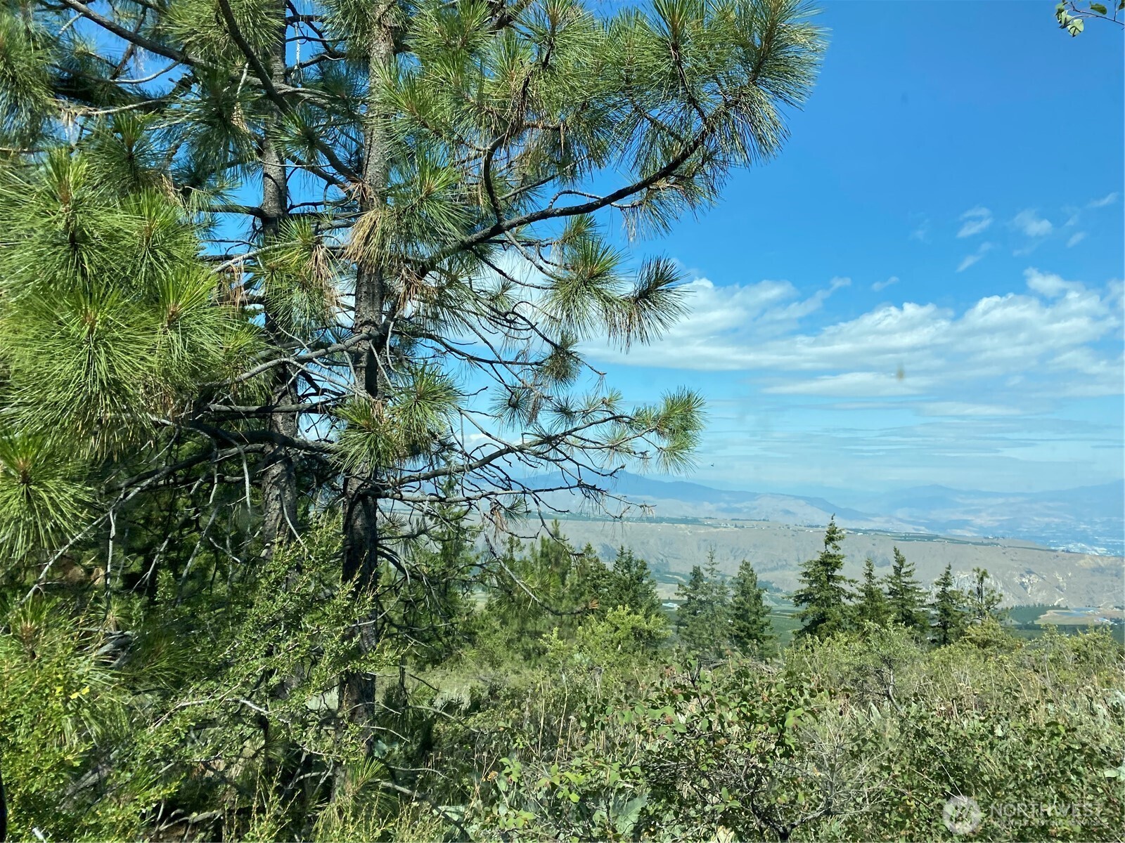 0 Big Springs Ranch Road , Malaga, WA 98828