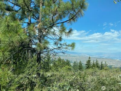 0 Big Springs Ranch Road , Malaga, WA 98828 - Photo 20