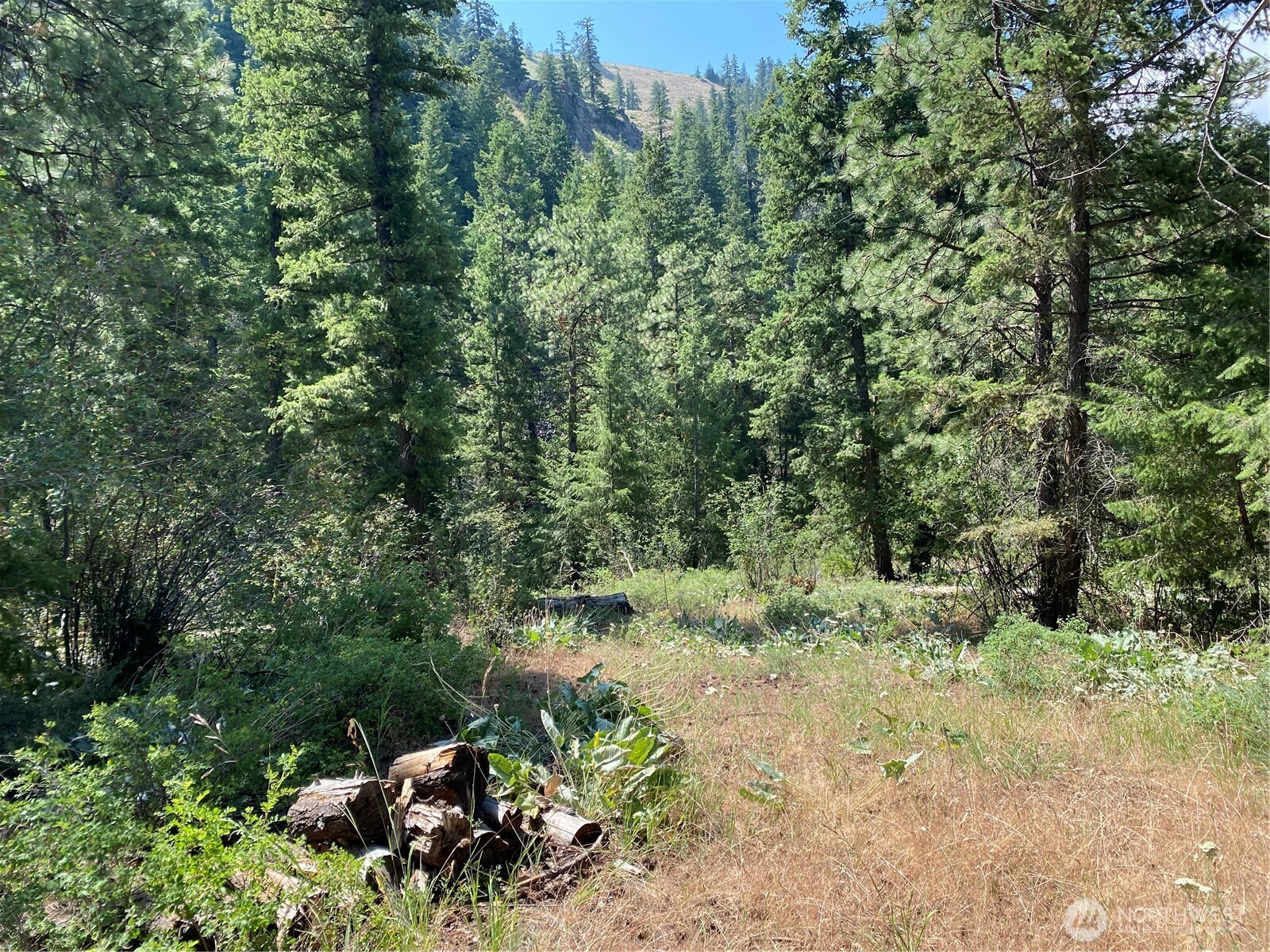 0 Big Springs Ranch Road , Malaga, WA 98828