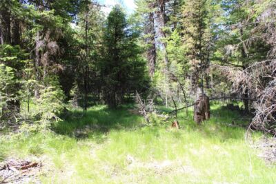 325 Pontiac Ridge , Tonasket, WA 98855 - Photo 11