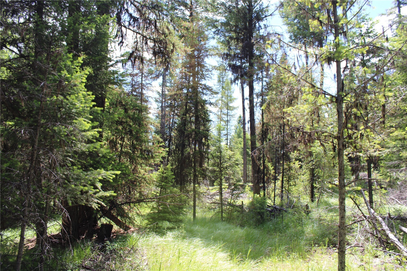 325 Pontiac Ridge , Tonasket, WA 98855