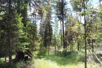 325 Pontiac Ridge , Tonasket, WA 98855 - Photo 13