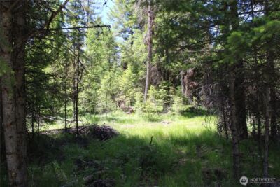 325 Pontiac Ridge , Tonasket, WA 98855 - Photo 15