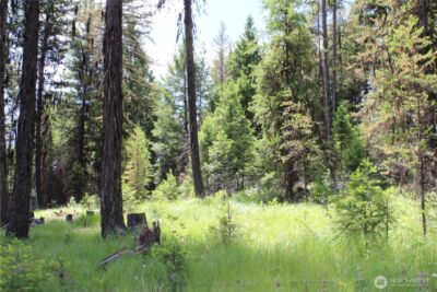 325 Pontiac Ridge , Tonasket, WA 98855 - Photo 20