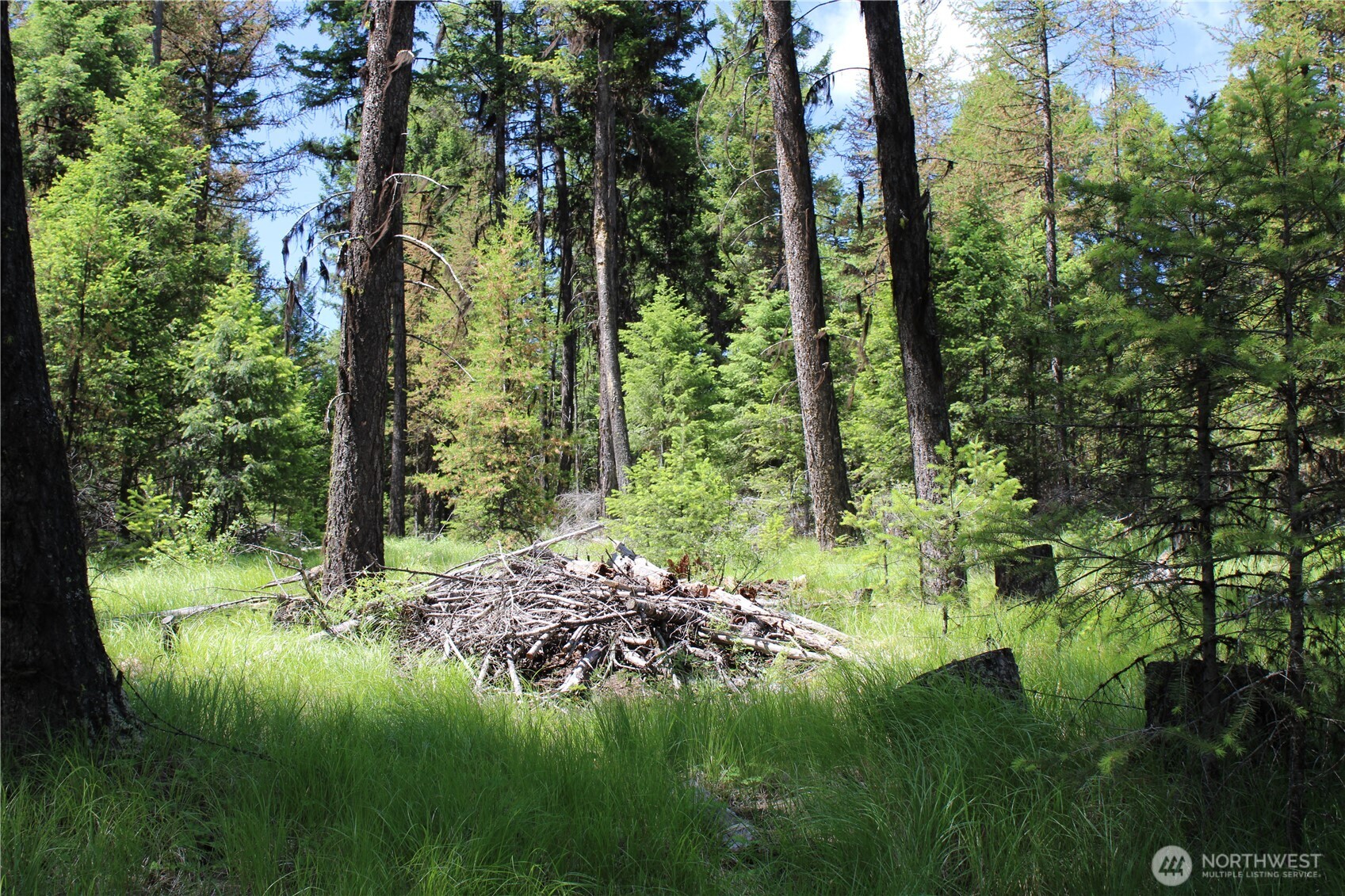 325 Pontiac Ridge , Tonasket, WA 98855