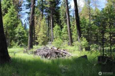 325 Pontiac Ridge , Tonasket, WA 98855 - Photo 21