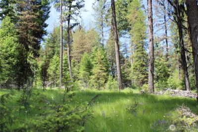 325 Pontiac Ridge , Tonasket, WA 98855 - Photo 22