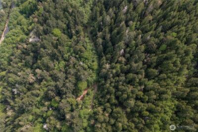 0 N US Hwy 101 , Lilliwaup, WA 98555 - Photo 11