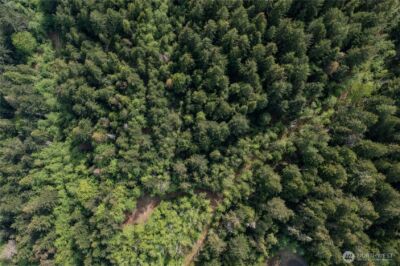 0 N US Hwy 101 , Lilliwaup, WA 98555 - Photo 13