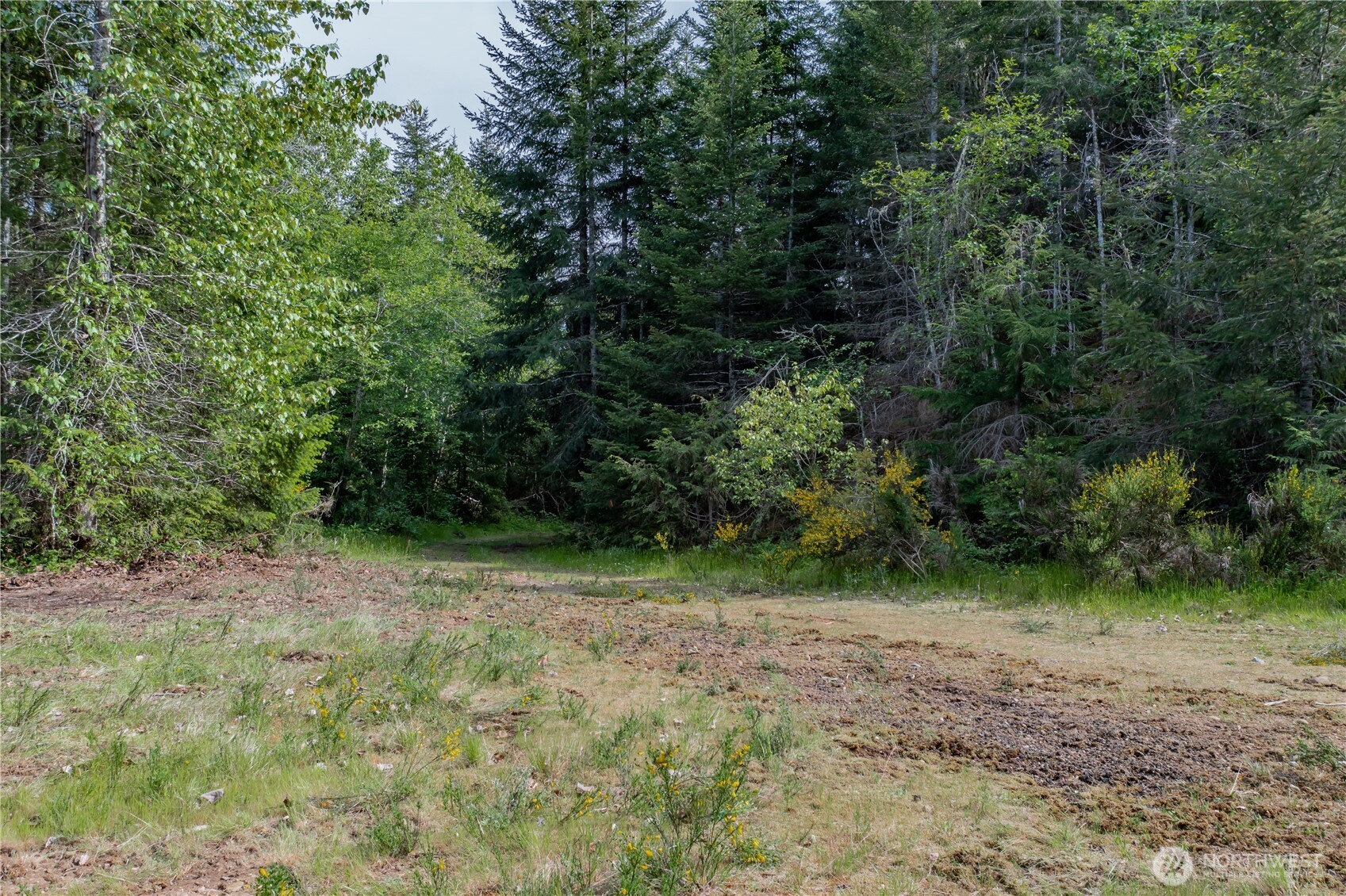 0 N US Hwy 101 , Lilliwaup, WA 98555