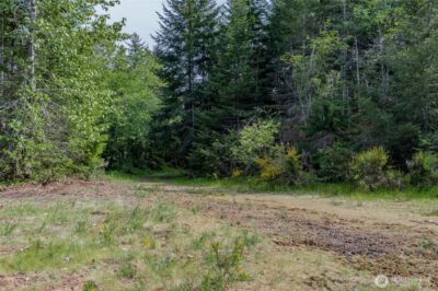 0 N US Hwy 101 , Lilliwaup, WA 98555 - Photo 15