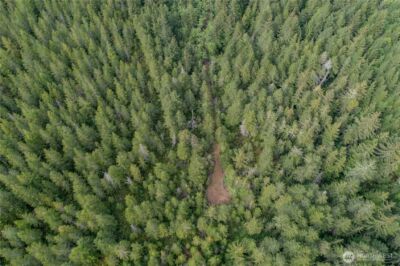 0 N US Hwy 101 , Lilliwaup, WA 98555 - Photo 18