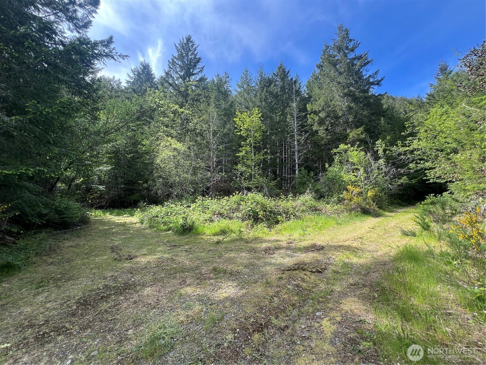 0 N US Hwy 101 , Lilliwaup, WA 98555