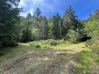 0 N US Hwy 101 , Lilliwaup, WA 98555 - Photo 23
