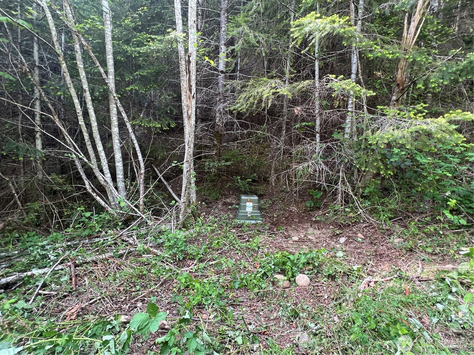 0 N US Hwy 101 , Lilliwaup, WA 98555