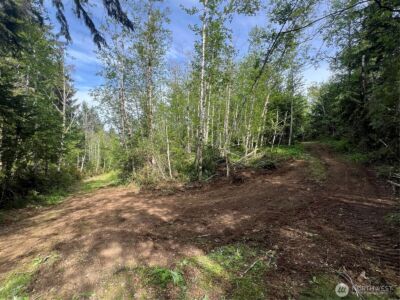 0 N US Hwy 101 , Lilliwaup, WA 98555 - Photo 29