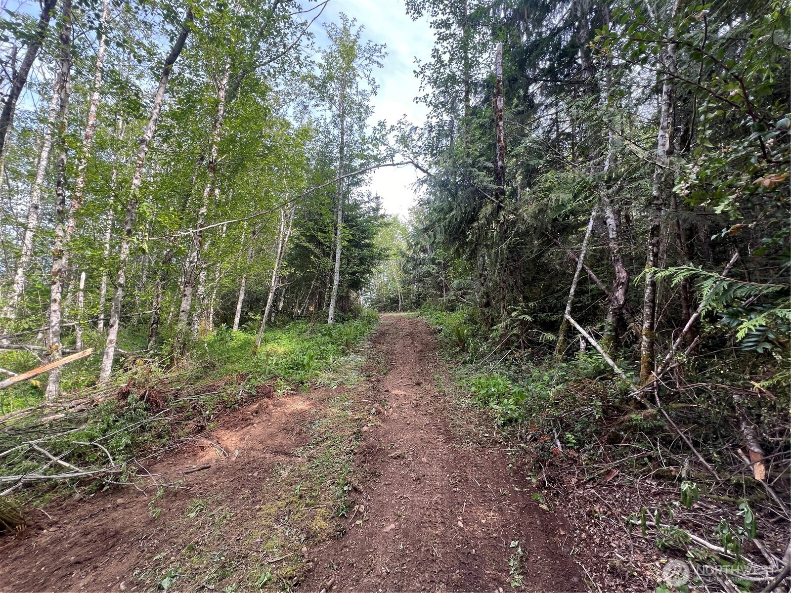 0 N US Hwy 101 , Lilliwaup, WA 98555