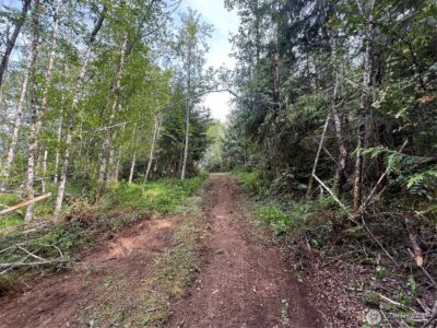 0 N US Hwy 101 , Lilliwaup, WA 98555 - Photo 30