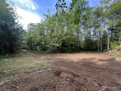 0 N US Hwy 101 , Lilliwaup, WA 98555 - Photo 31