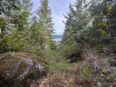 0 N US Hwy 101 , Lilliwaup, WA 98555 - Photo 33