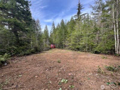 0 N US Hwy 101 , Lilliwaup, WA 98555 - Photo 34