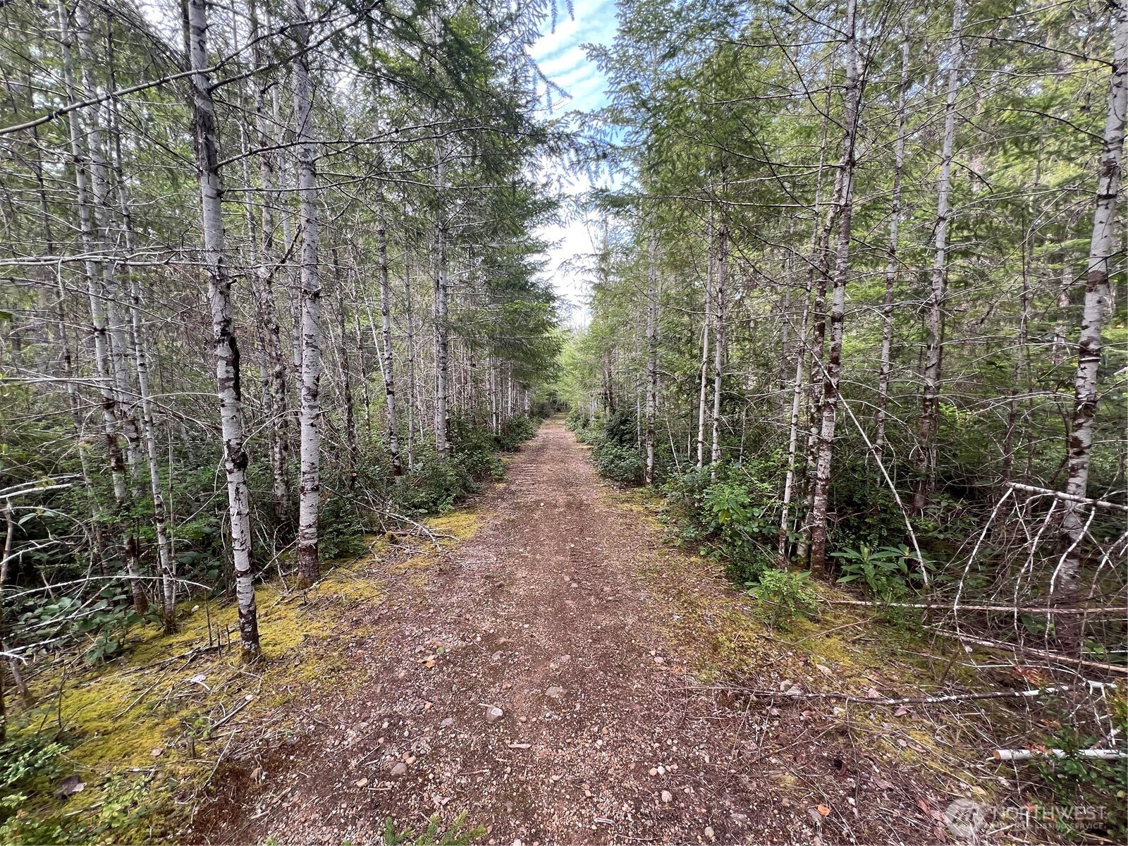 0 N US Hwy 101 , Lilliwaup, WA 98555