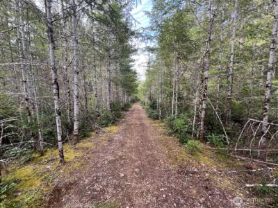 0 N US Hwy 101 , Lilliwaup, WA 98555 - Photo 35