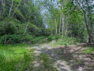 0 N US Hwy 101 , Lilliwaup, WA 98555 - Photo 7