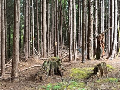 282 Copalis Beach Road , Copalis Beach, WA 98355 - Photo 19