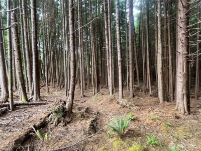 282 Copalis Beach Road , Copalis Beach, WA 98355 - Photo 20