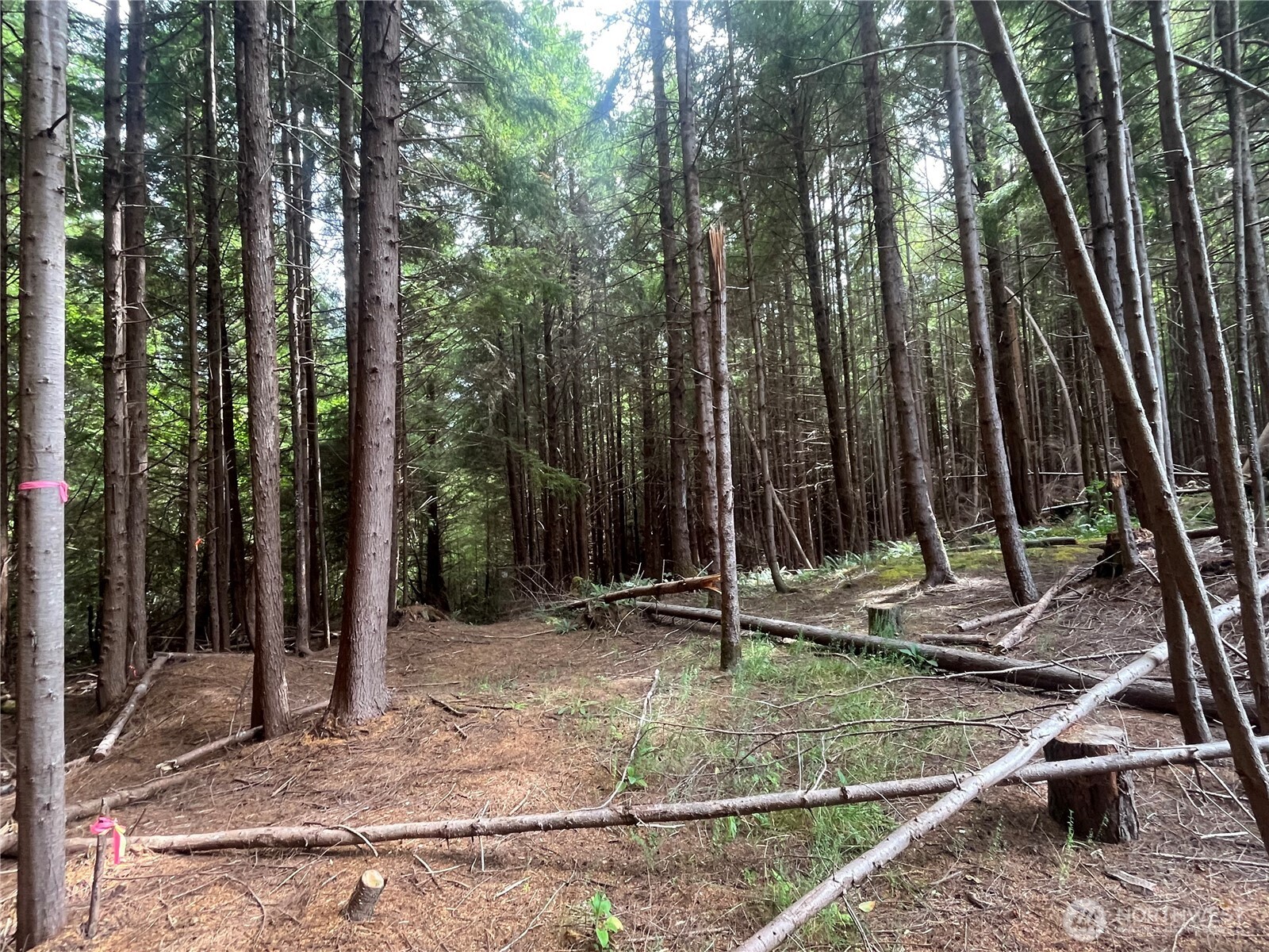 282 Copalis Beach Road , Copalis Beach, WA 98355