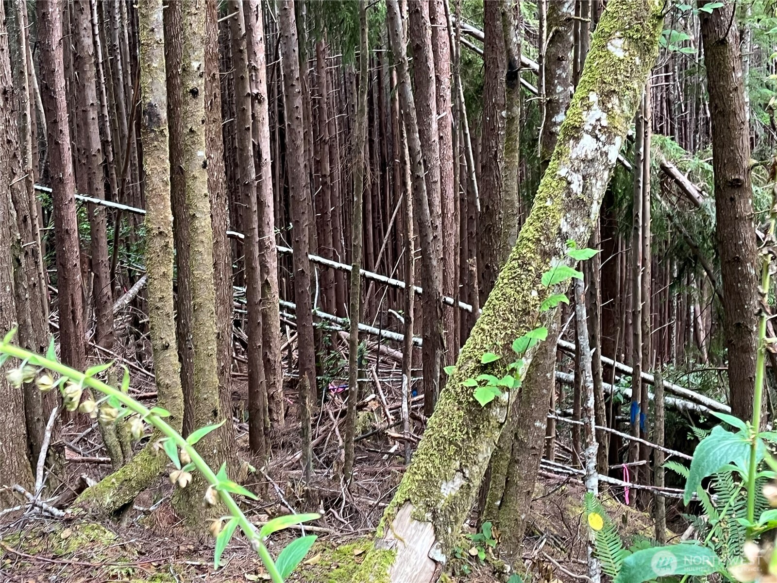 282 Copalis Beach Road , Copalis Beach, WA 98355