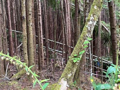 282 Copalis Beach Road , Copalis Beach, WA 98355 - Photo 25