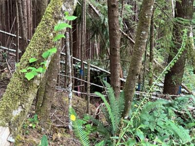 282 Copalis Beach Road , Copalis Beach, WA 98355 - Photo 26