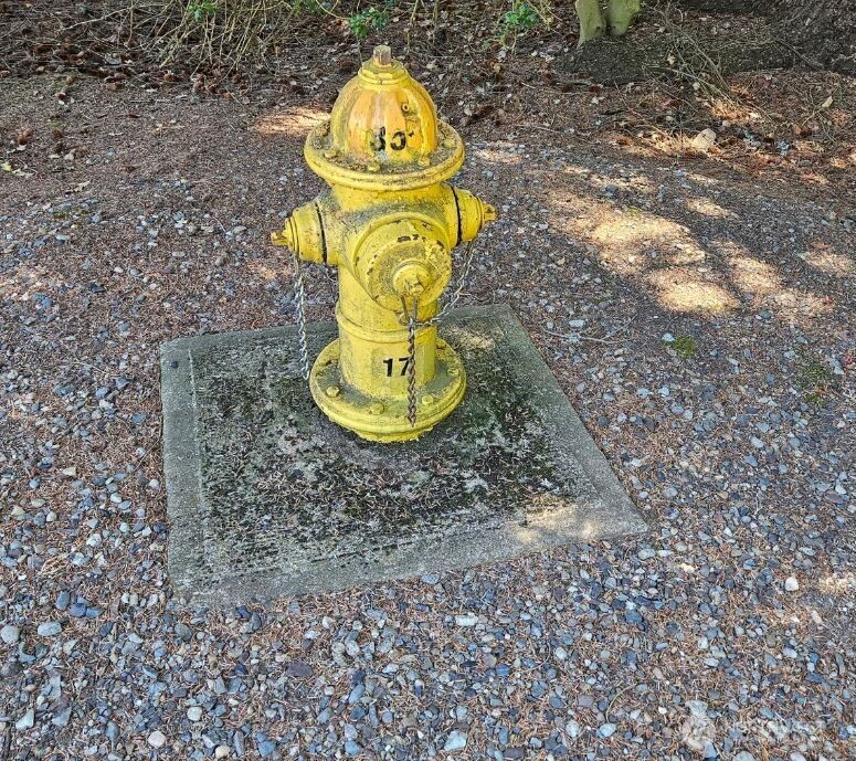 14310 168th Avenue NE, Woodinville, WA 98072