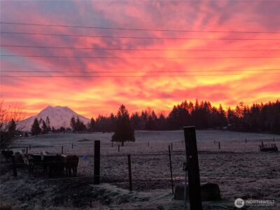 4412 332nd Street E, Eatonville, WA 98328 - Photo 36
