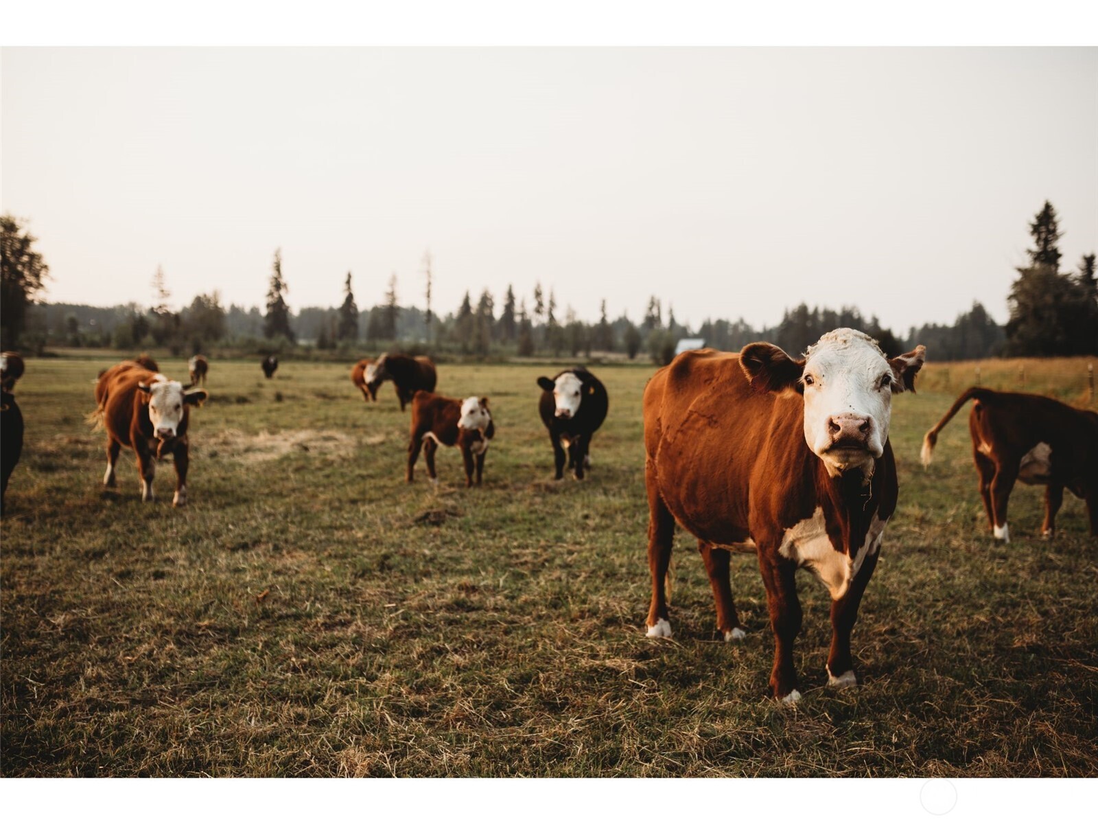 4412 332nd Street E, Eatonville, WA 98328