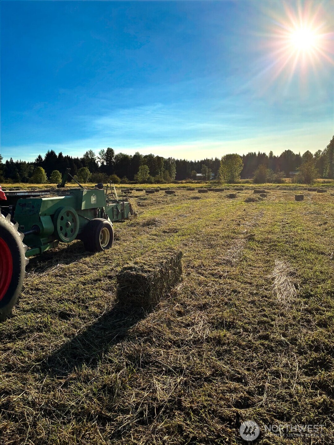 4412 332nd Street E, Eatonville, WA 98328