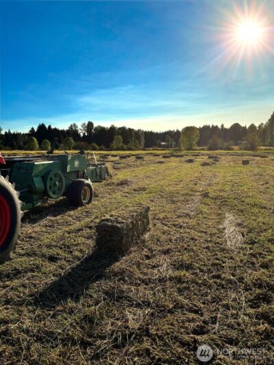 4412 332nd Street E, Eatonville, WA 98328 - Photo 38