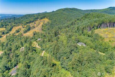 393 Hansen EXT Road , Woodland, WA 98674 - Photo 13