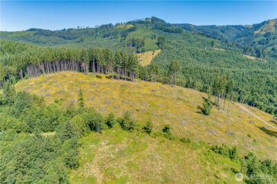 393 Hansen EXT Road , Woodland, WA 98674 - Photo 14