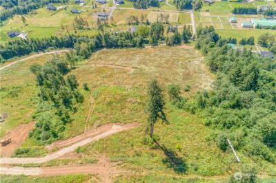 393 Hansen EXT Road , Woodland, WA 98674 - Photo 2