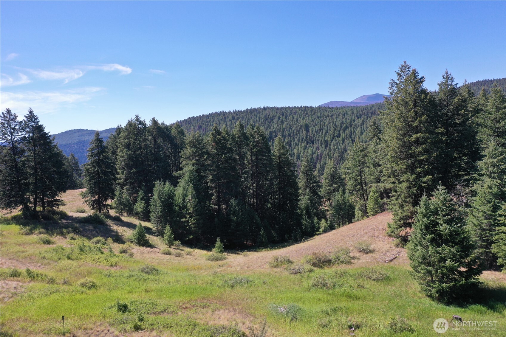 100 Spring Meadow Lane , Oroville, WA 98844