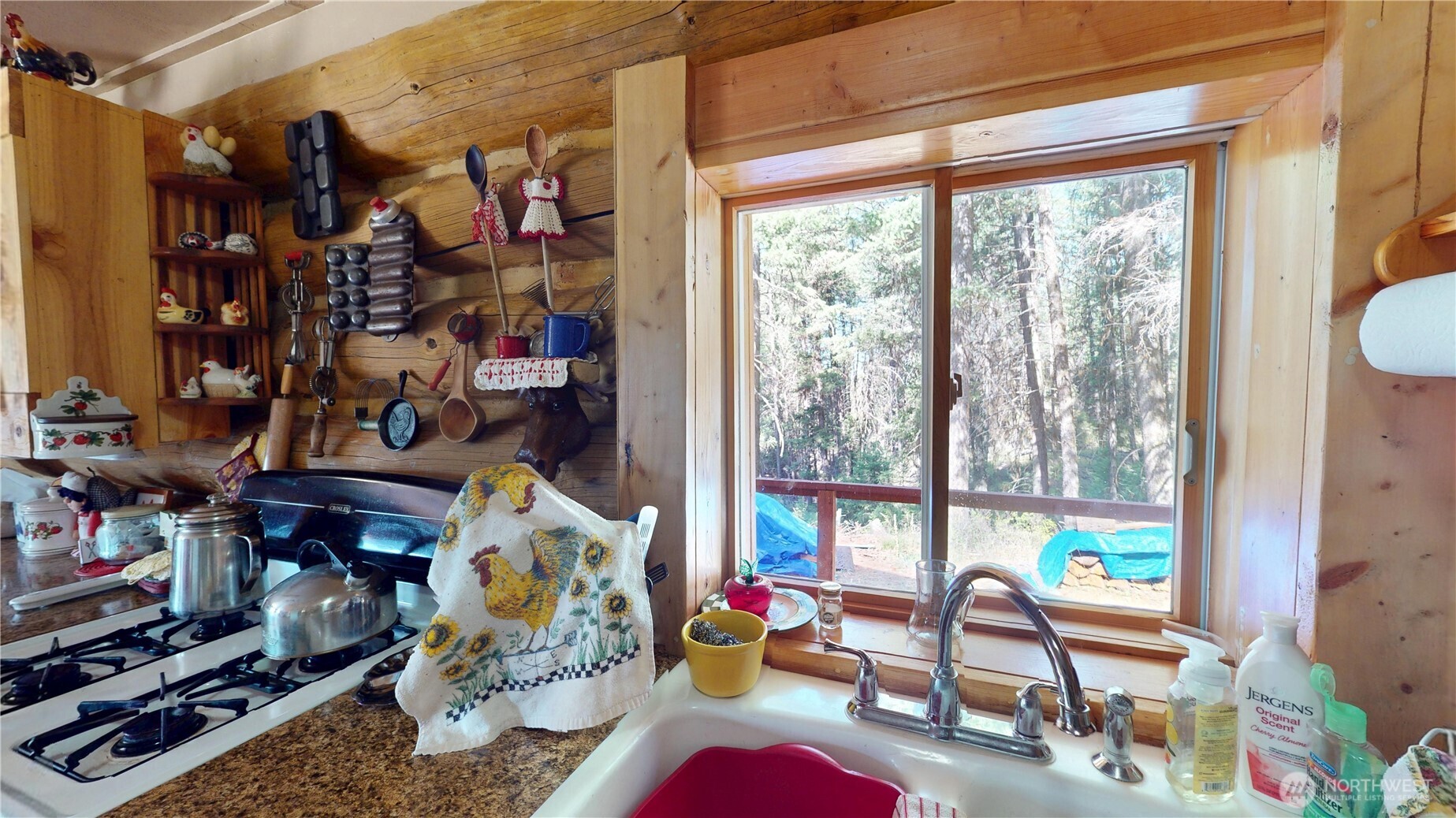 100 Spring Meadow Lane , Oroville, WA 98844