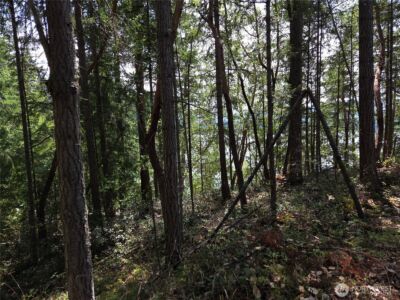 22137 Clear Lake Boulevard SE, Yelm, WA 98597 - Photo 1